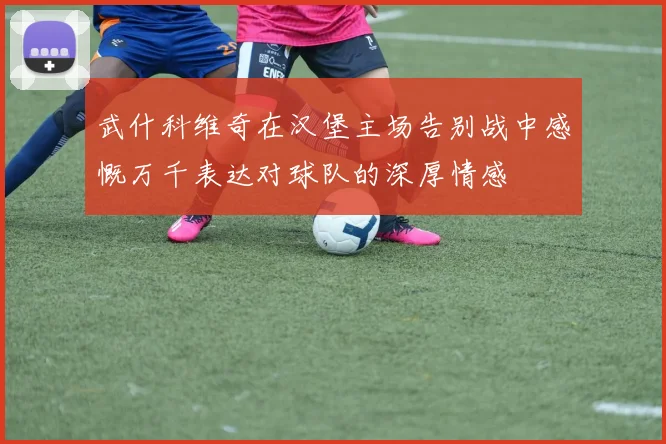 武什科维奇在汉堡主场告别战中感慨万千表达对球队的深厚情感